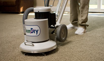 CARPET DRY CLEANING